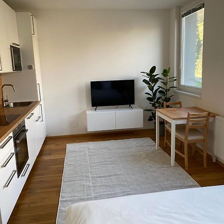 Vila Vinice Prag Exterior foto